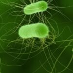 HACCP систем