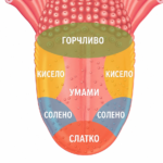 Што е акриламид?