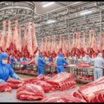 Програм за контрола на штетници – важен дел за безбедноста на храната