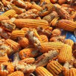 Микотоксини во храната