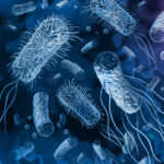 Norovirus општи информации